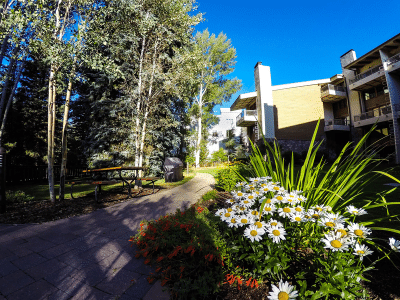 Lodge-at-Lionshead-in-Summer Lodge-at-Lionshead-in-Summer