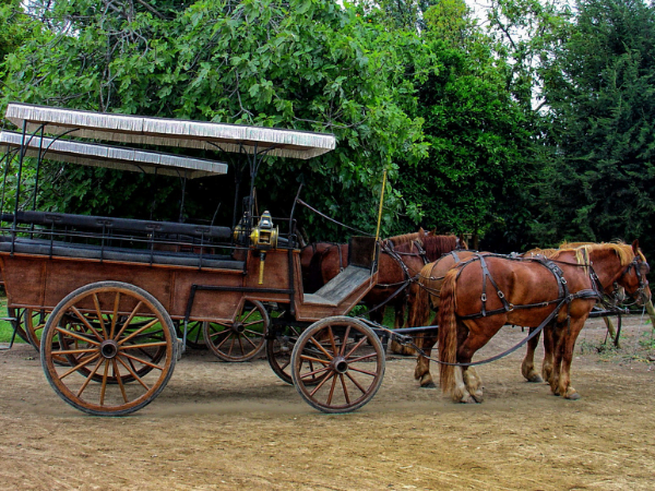 horse-drawn-wagon-ride